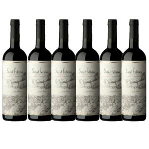 SAINT FELICIEN CABERNET FRANC 750 ML X 6 UNIDADES