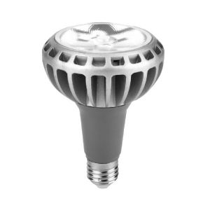 LAMPARA PAR 30 LED 30W E27 DE ALUMINIO MACROLED - Vista 2