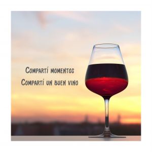 VINO TRUMPETER SYRAH 750 CC - Vista 2