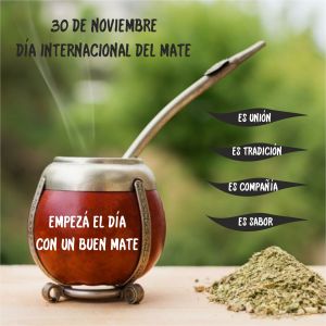 YERBA MAÑANITA 4 FLEX 500 GR X 10 UNIDADES - Vista 4