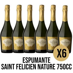 ESPUMANTE SAINT FELICIEN NATURE 750CC X 6 UNIDADES - Vista 1