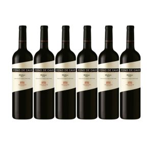 VINO FOND DE CAVE MALBEC 750 ML X6