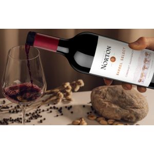 VINO NORTON BARREL SELECT CAB.SAUV 750 ML - Vista 2